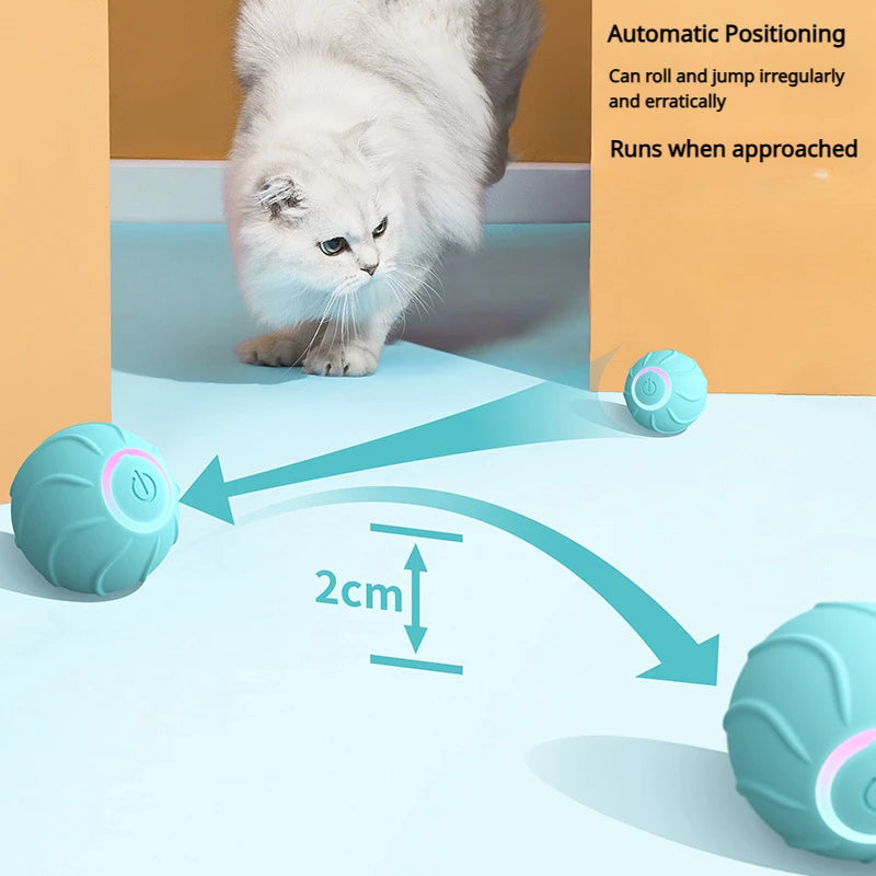 CatBounce The Innovative Interactive Jumping Ball for Cats