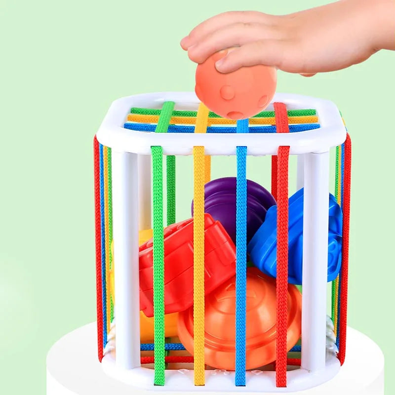 Rainbow Shape Fun: Interactive Learning Toy for Babies and Toddlers