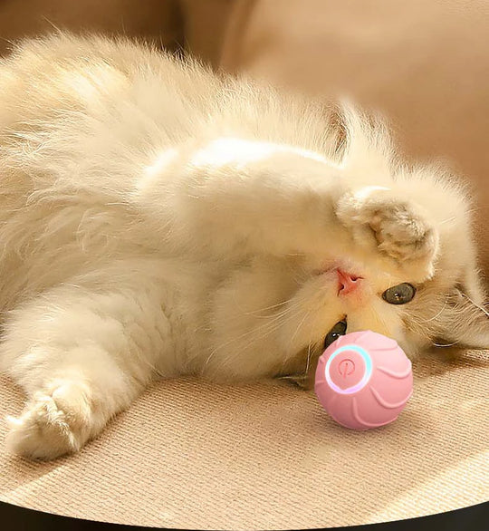 CatBounce The Innovative Interactive Jumping Ball for Cats