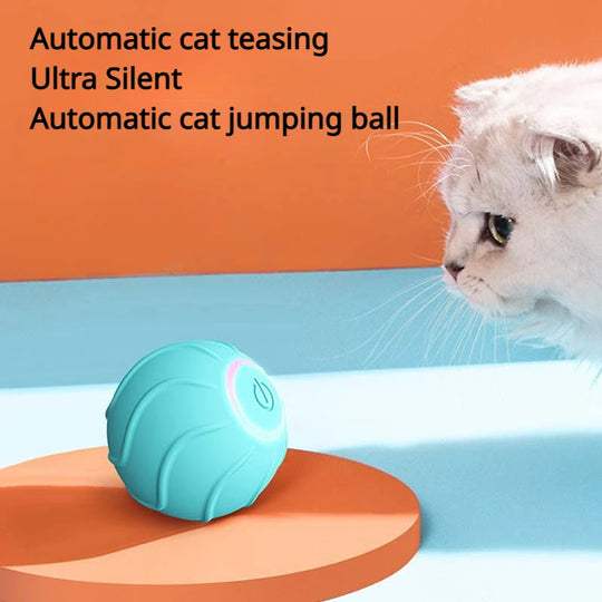 CatBounce The Innovative Interactive Jumping Ball for Cats