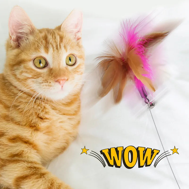 Cat Magic Interactive Feather Teaser with Bell for Endless Playtime