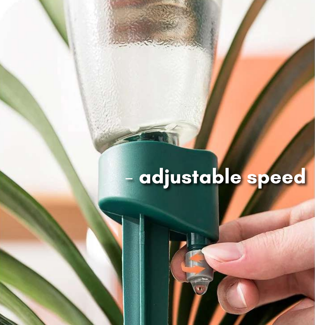 Blossom Buddy Smart Household Watering System for Blooms